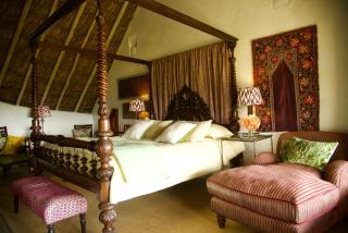 Olepangi Farm - Nanyuki - 5