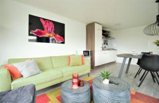 Chalet By the Sea im Breskens Zeeland - 8