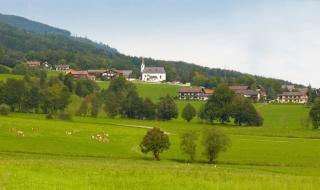 Kastnerhof - - 4