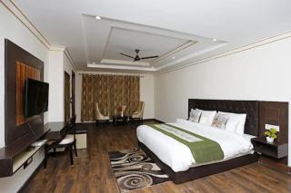 Snow Bloom Resort - 8