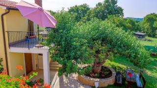 Studio Apartment Gianni - Vižinada - 6