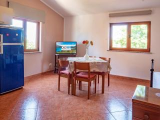 Studio Apartment Gianni - Vižinada - 4