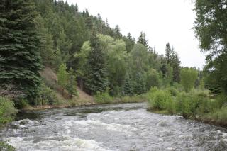 Otter's Place - South Fork - 7