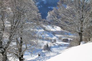 Hôtel Restaurant Aux Genêts d'Or - 3