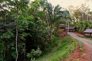 El Pulpo Safari Lodge - 2