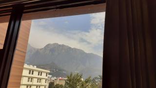 The Divine Oak - Katra - 8