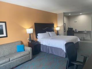 Holiday Inn Express Hotel and Suites Fort Stockton by IHG - Fort Stockton - 3