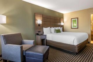 Best Western Downtown Stuart - Stuart - 6