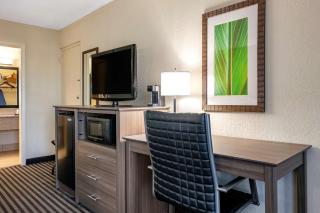 Best Western Downtown Stuart - Stuart - 3