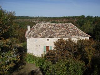 Historic holiday home with garden - Fargues - 0
