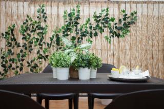 SingularStays Mar44 - 4