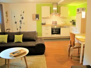 Spacious apartment in Vulkaneifel - Ulmen - 1