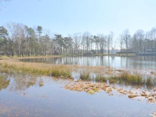 Lovely Holiday Home in Limburg amid Lush Forest - Stramproy - 6