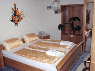 Hotel Drei Könige - Neckarbischofsheim - 1