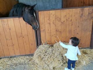 AGRITURISMO Da Baffone - 3