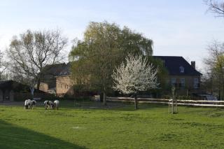 Meschermolen 13 - Eijsden - 2