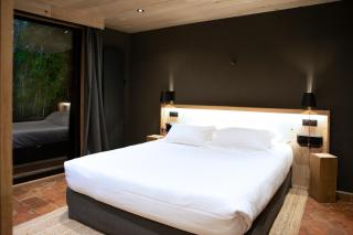 Le Domaine des Prés Verts Suites & Chambres avec Jacuzzi Privatif à Châteauneuf - Châteauneuf - 3