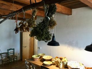 BORGO PETELIA, Casa Centro, Antica abitazione calabrese con giardino, ristrutturata - Strongoli - 4
