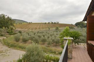Casa Maria - Castelnuovo Berardenga - 4
