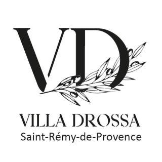 La maison des Fontanille - Saint-Rémy-de-Provence - 6