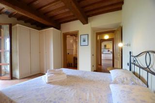 Ginestra - Peccioli - 1