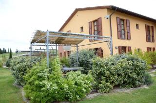 Girasoli - Peccioli - 6