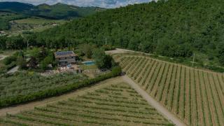 Il Trebbio - Gaiole in Chianti - 7