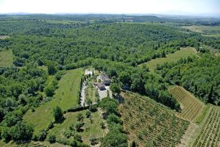 Sangiovese all'Aia - 8