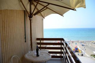 Murex - Castagneto Carducci - 8