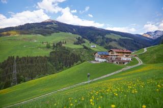 Ferienwohnungen Perfeldhof - 6