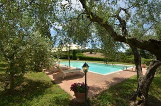 Il Passo Degli Ulivi - 2