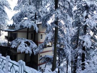 Sleeping Buddha View l Best Hotel in Near Mall Road - Shimla - 9