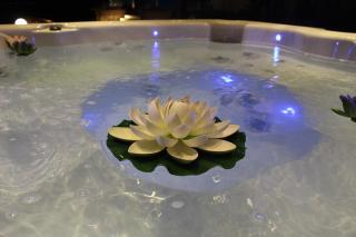 Villa Treglia b&b - Formia - 5