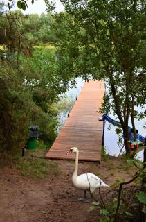 Dom Letniskowy na Kaszubach z podgrzewanym basenem - 7