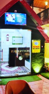 Hotel Bamboo Castle - Jaipur - 1