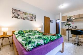 APARTIA Křenová 31, Brno-center - Brünn - 0