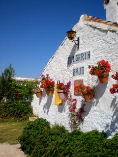 Cortijo Pulgarín Bajo - 9