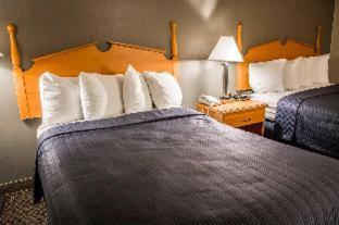 Quality Inn Albany Colonie - Albany - 5