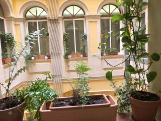 Plaza Goya Rooms - 1