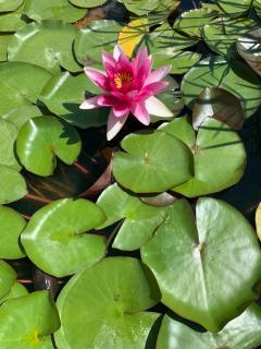 La Casa di Ester nel Cilento - 1