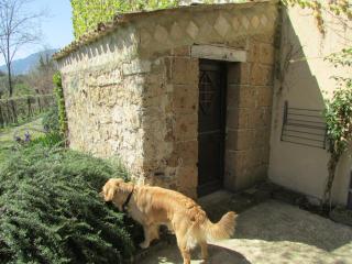 Agriturismo "Borgo Madonna degli Angeli" - charming cottages in the gardens ! - 5