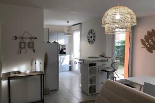 Appartement cosy avec jardin à Blagnac. - Blagnac - 7