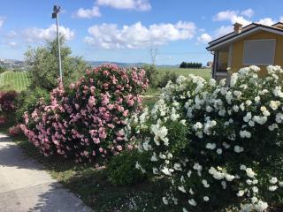Appartamento Sole - Moscufo - 2