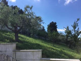 Appartamento Sole - Moscufo - 8