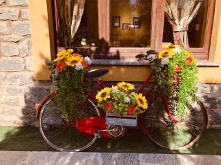 Paradiso della Bici - Morbegno - 9