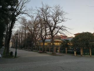El bagolo - Venezia - 9