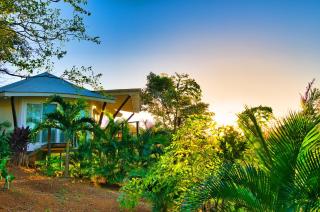 Mikado Natural Lodge - Playa Avellana - 5
