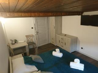 Apartament ELBRUS CZYRNA Szczyrk WYPOŻYCZALNIA ROWERÓW E-BIKE CZYRNA SZKOŁA NARCIARSKA & WYPOŻYCZALNIA SKI SERWIS - 1