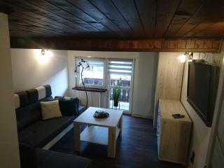 Apartament ELBRUS CZYRNA Szczyrk WYPOŻYCZALNIA ROWERÓW E-BIKE CZYRNA SZKOŁA NARCIARSKA & WYPOŻYCZALNIA SKI SERWIS - Szczyrk - 5