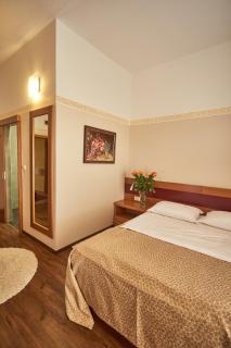 Hotel Vila Emei - Maribor - 4